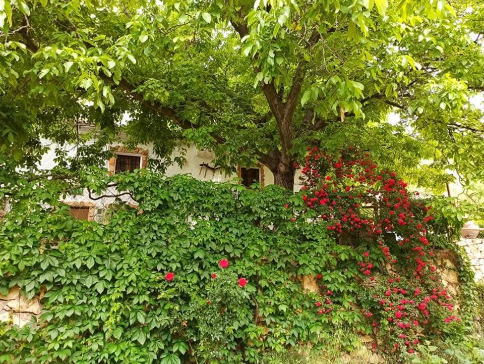 Hostal Cortijo Ramon Petra Nerpio Exterior foto